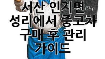 서산 인지면 성리에서 중고차 구매 후 관리 가이드